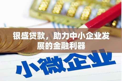 大溪银盛贷款，助力中小企业发展的金融利器