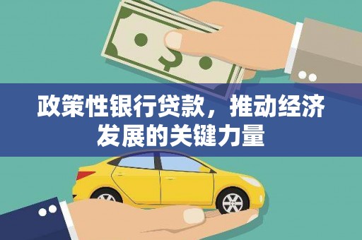 大溪政策性银行贷款，推动经济发展的关键力量