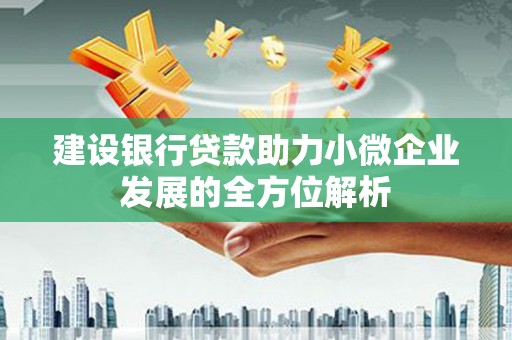 大溪建设银行贷款助力小微企业发展的全方位解析