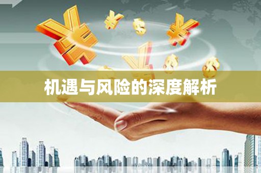 大溪机遇与风险的深度解析