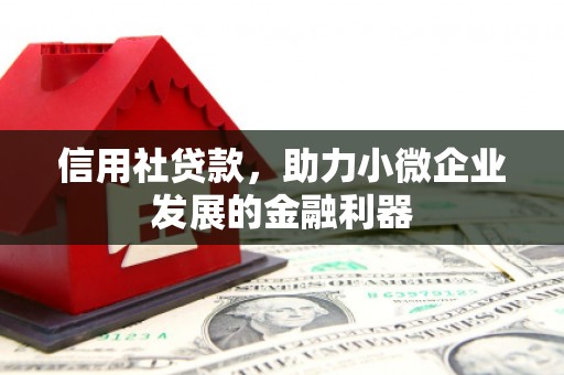 大溪信用社贷款，助力小微企业发展的金融利器