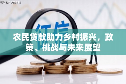 大溪农民贷款助力乡村振兴，政策、挑战与未来展望