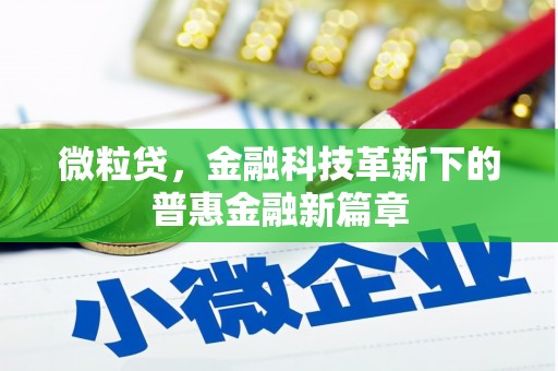 大溪微粒贷，金融科技革新下的普惠金融新篇章