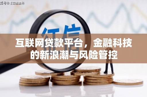 大溪互联网贷款平台，金融科技的新浪潮与风险管控