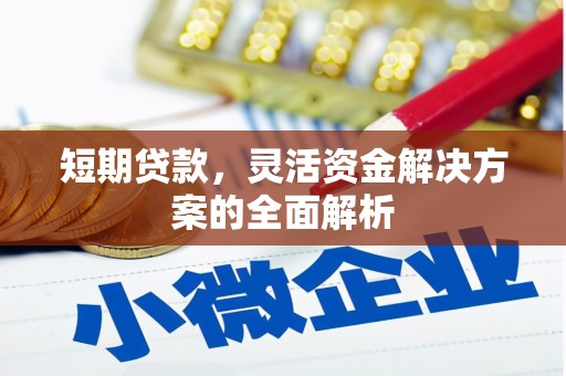 大溪短期贷款，灵活资金解决方案的全面解析