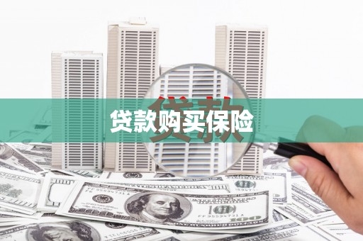 大溪贷款购买保险