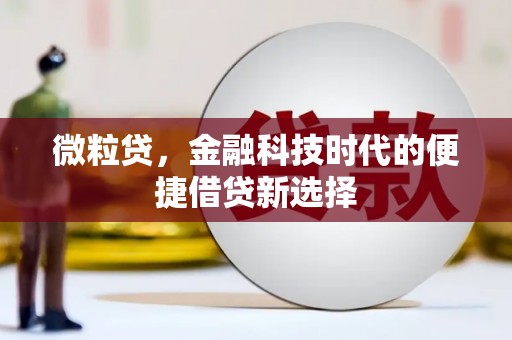 大溪微粒贷，金融科技时代的便捷借贷新选择