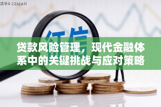 大溪贷款风险管理，现代金融体系中的关键挑战与应对策略