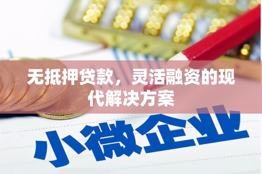 大溪无抵押贷款，灵活融资的现代解决方案