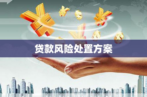 大溪贷款风险处置方案