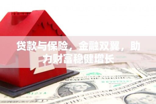 大溪贷款与保险，金融双翼，助力财富稳健增长