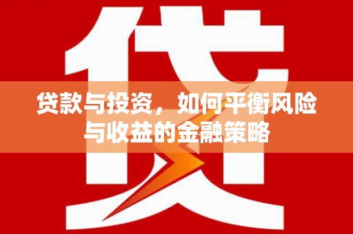 大溪贷款与投资，如何平衡风险与收益的金融策略