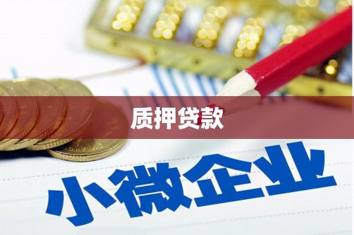 大溪质押贷款