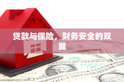 大溪贷款与保险，财务安全的双翼