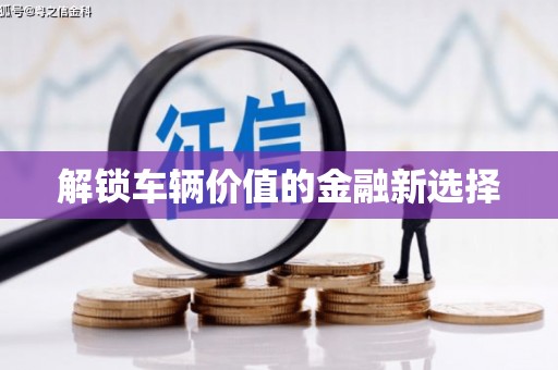 大溪解锁车辆价值的金融新选择