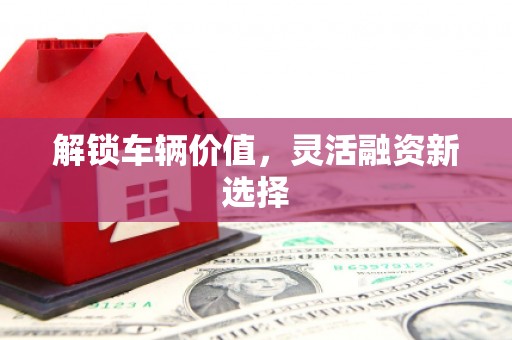 大溪解锁车辆价值，灵活融资新选择
