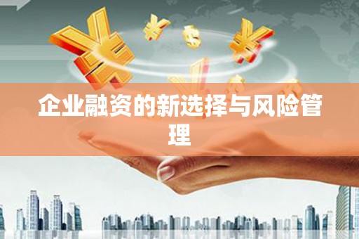 大溪企业融资的新选择与风险管理