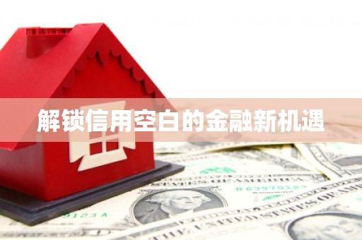 大溪解锁信用空白的金融新机遇