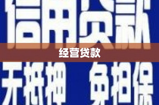 大溪经营贷款