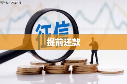大溪提前还款
