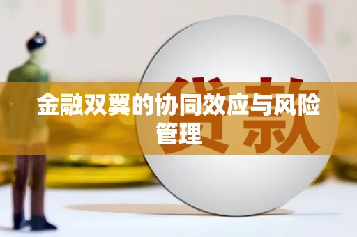 大溪金融双翼的协同效应与风险管理
