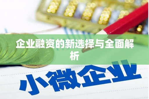大溪企业融资的新选择与全面解析