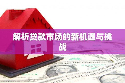 大溪解析贷款市场的新机遇与挑战