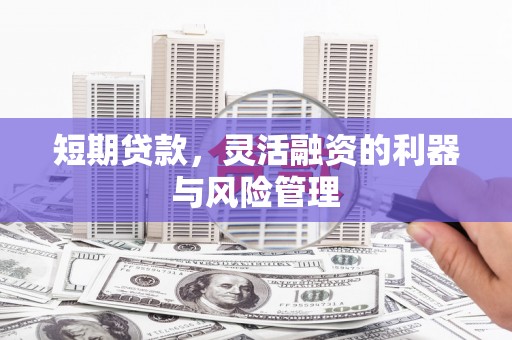 大溪短期贷款，灵活融资的利器与风险管理