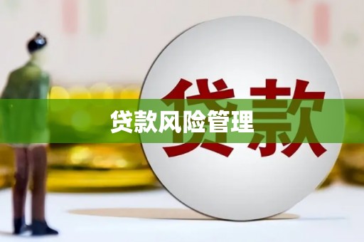大溪贷款风险管理