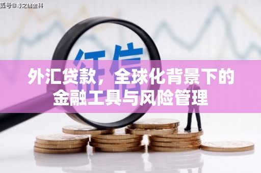 大溪外汇贷款，全球化背景下的金融工具与风险管理