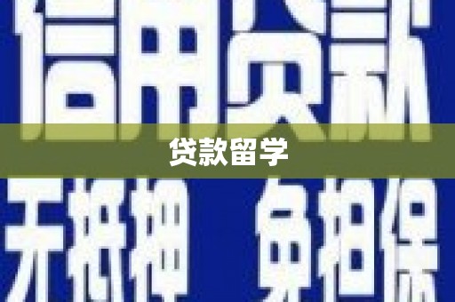 大溪贷款留学